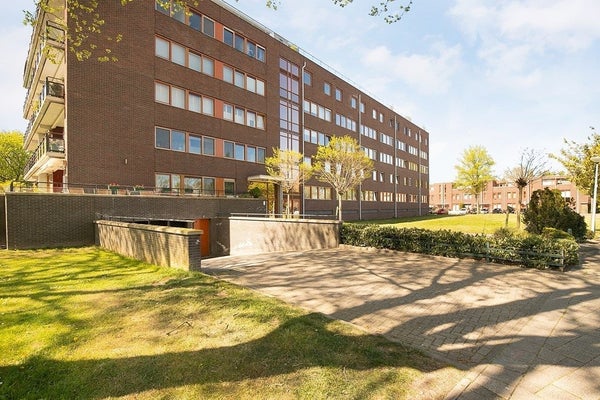 Aalscholverstraat