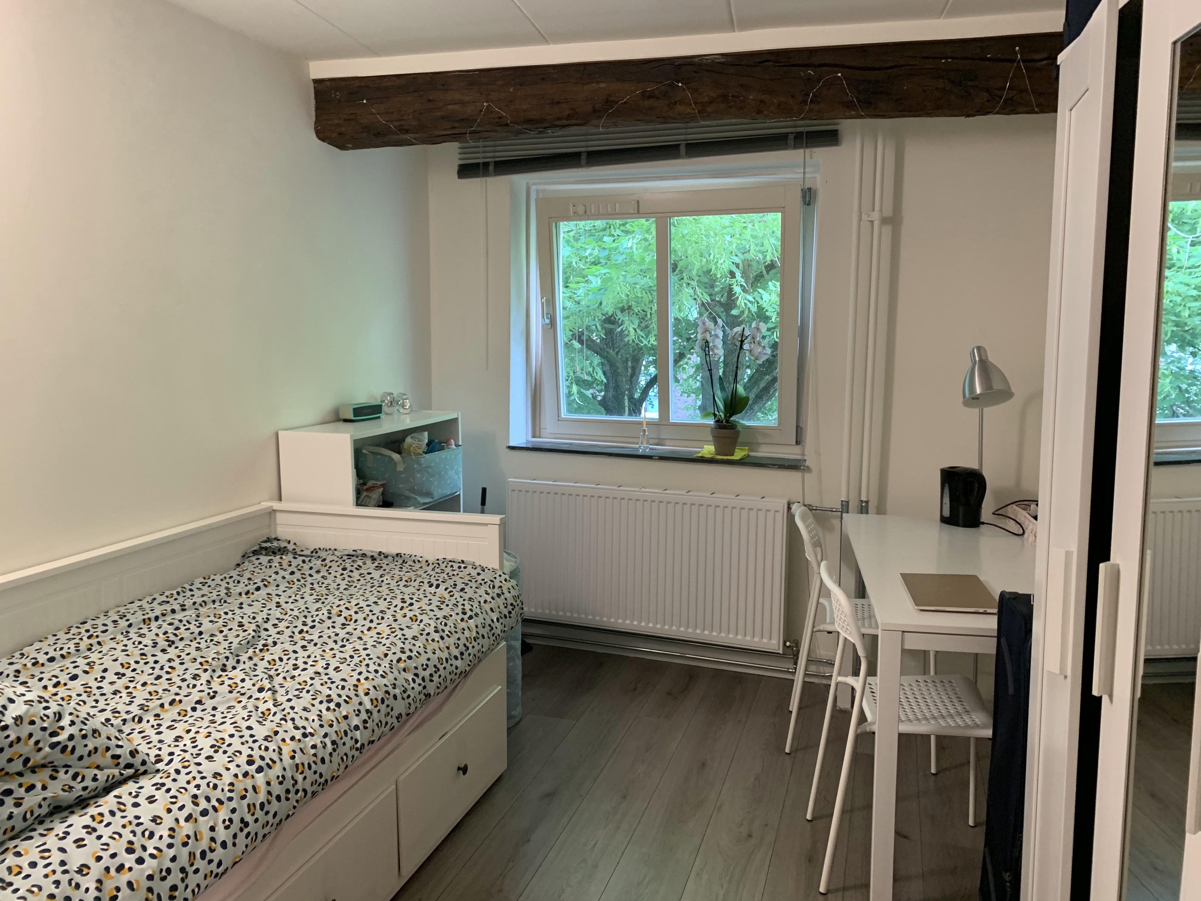 Room Grote Looiersstraat