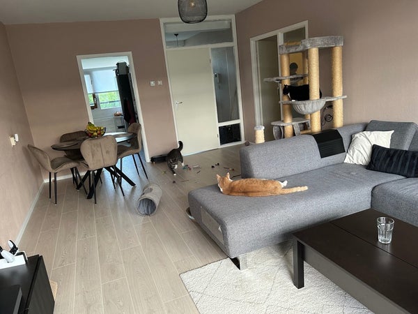 Appartement Cleijn Duinplein in Katwijk