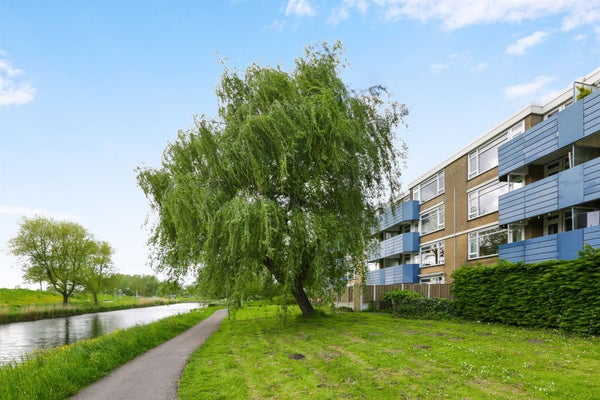 Kamer Midscheeps in Amsterdam