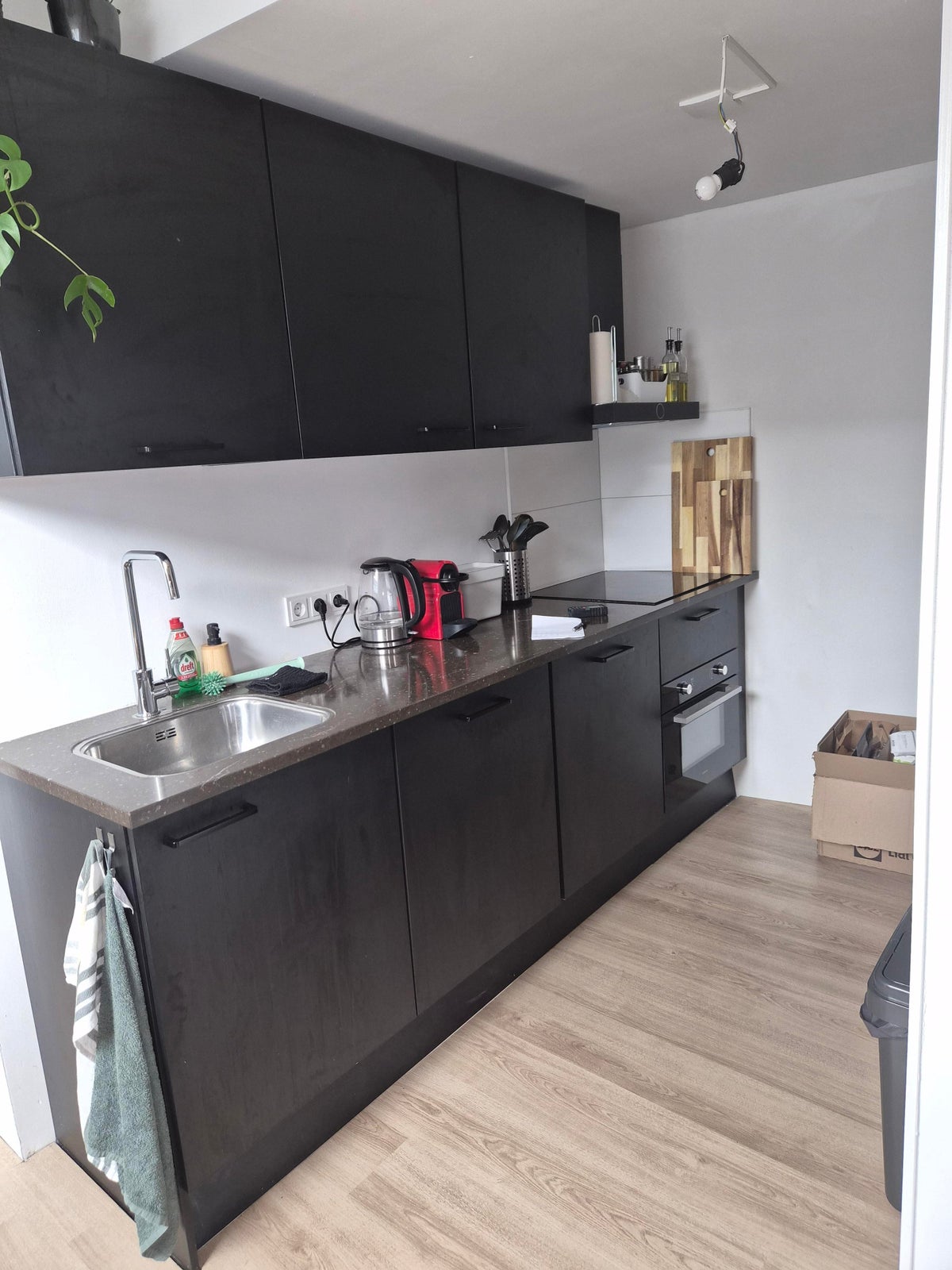 Appartement Burgemeester van Roijensingel 11