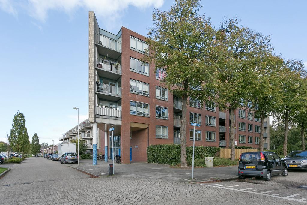 Flat Gazellestraat 172