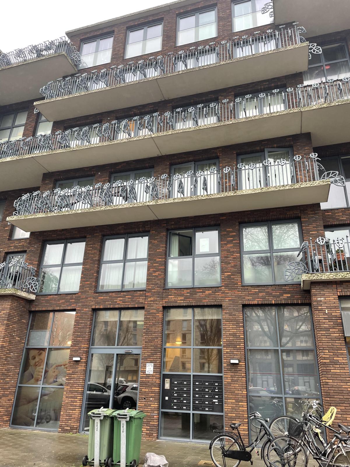 Flat Freddie Oversteegenstraat 421