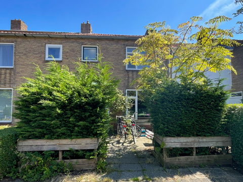 Room Pieter Langendijkstraat