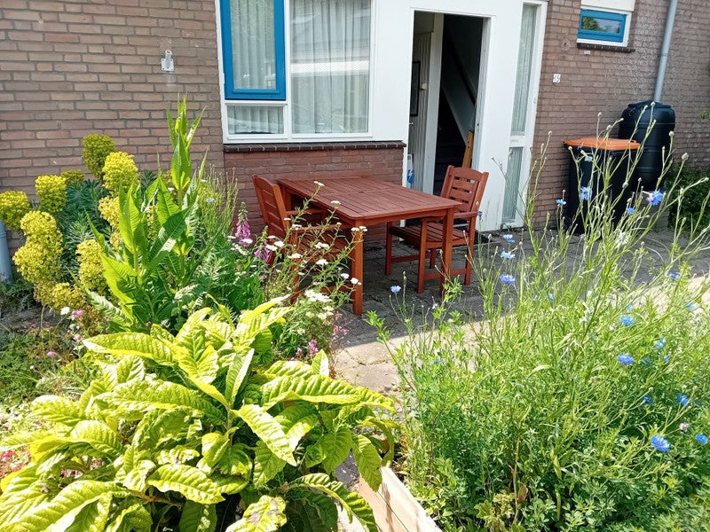 Appartement Het Zwammerveld in Valkenburg