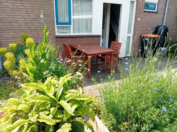 Flat Het Zwammerveld in Valkenburg