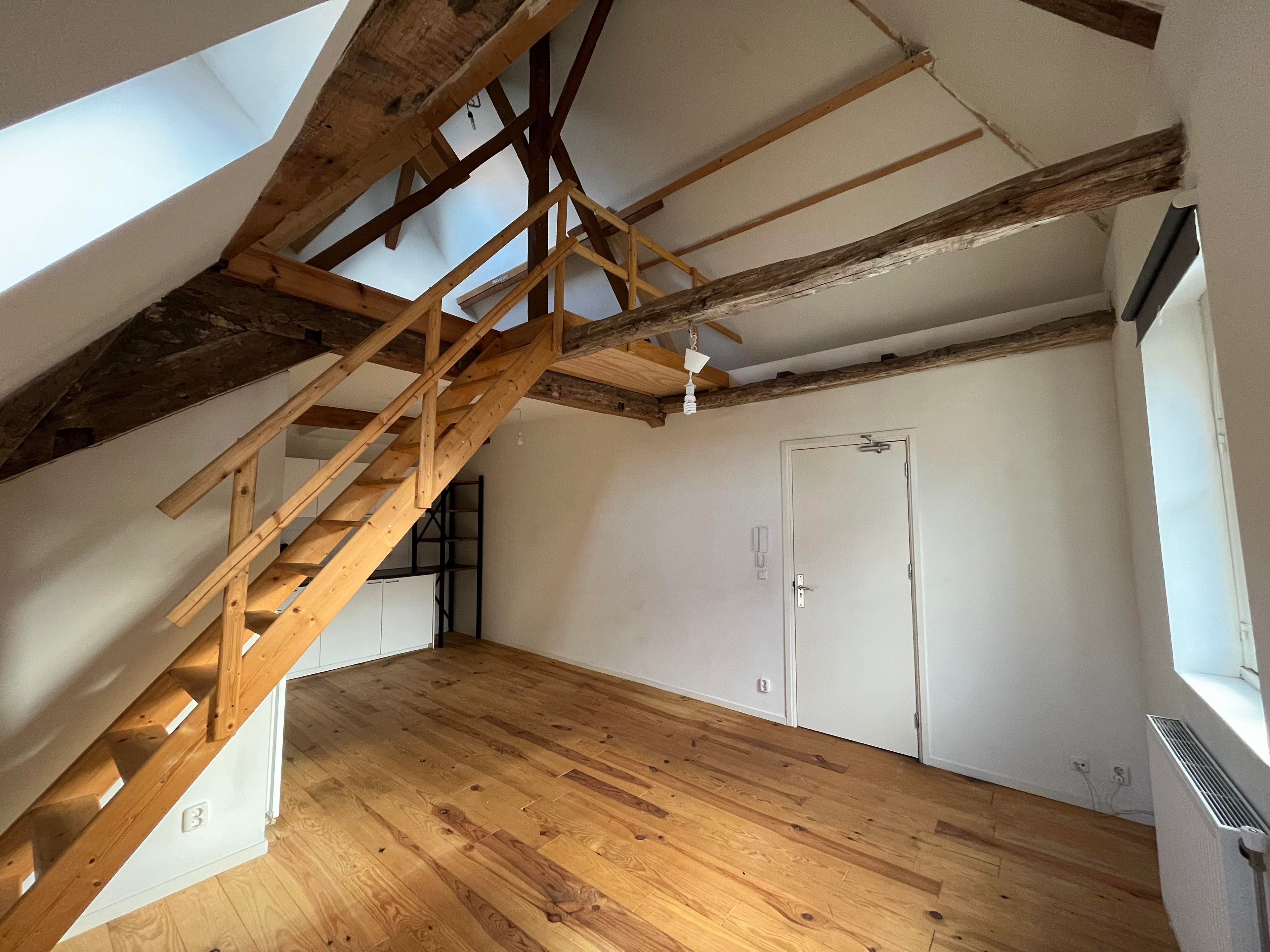 Te huur Appartement Brusselsestraat in Maastricht
