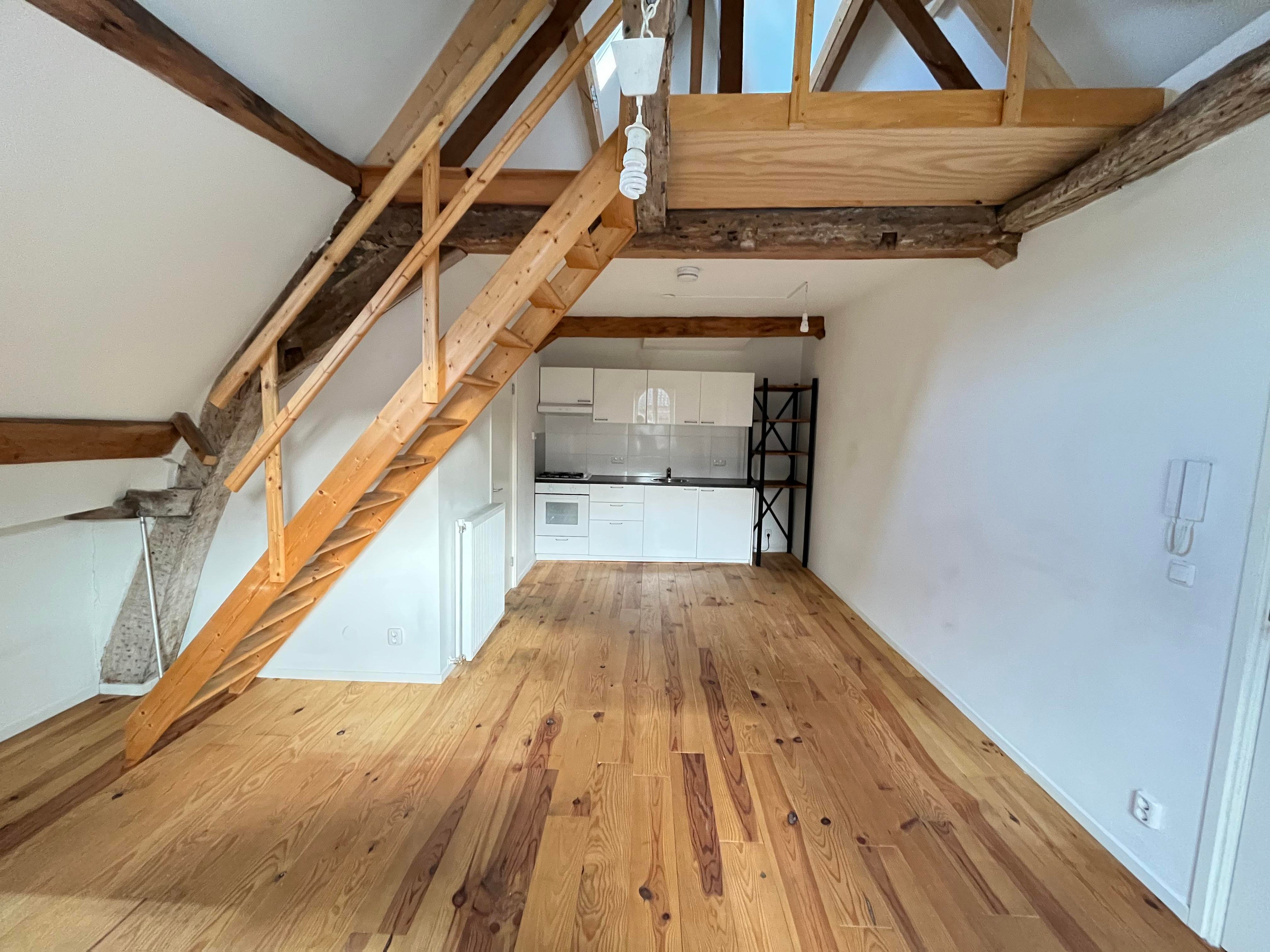 Te huur Appartement Brusselsestraat in Maastricht