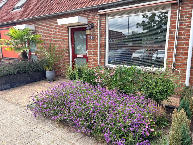 Appartement Kasselbruin in Zoetermeer