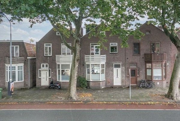 free-sector-houses for rent on Peperstraat