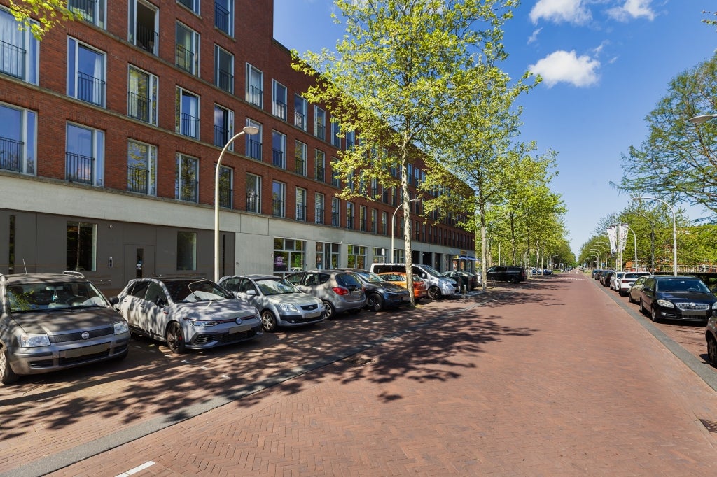 Flat Steentijdsingel
