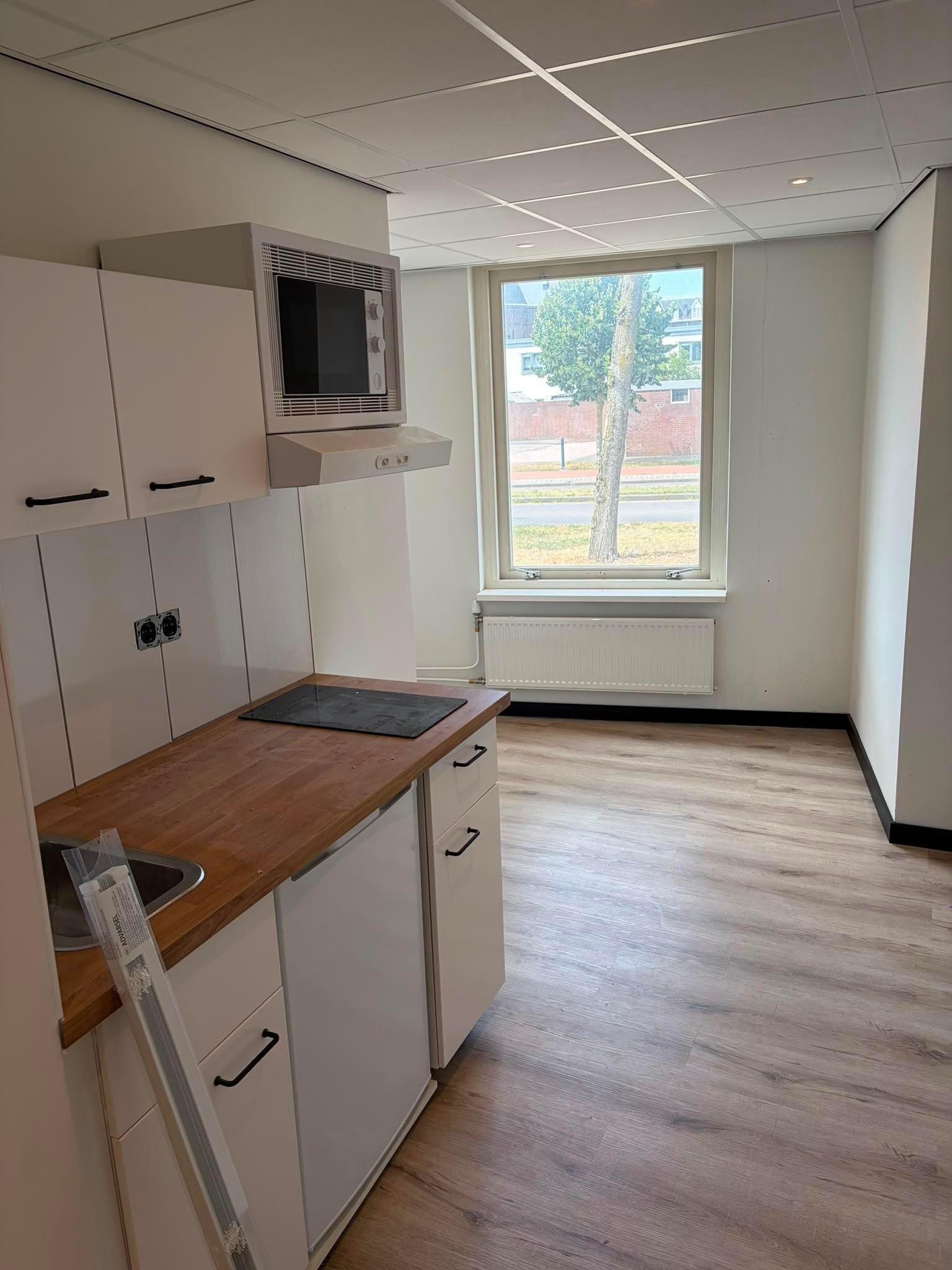Room Vincent van Goghstraat 43 19