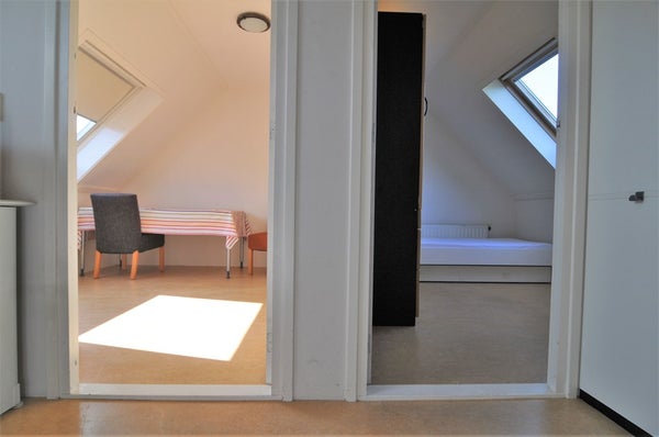 Appartement Johan Frisolaan in Sassenheim