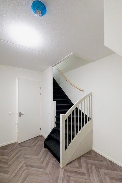 Woning te huur: Freesiastraat, Rijnsburg