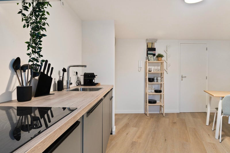 Te huur Appartement Rosmolenplein in Tilburg