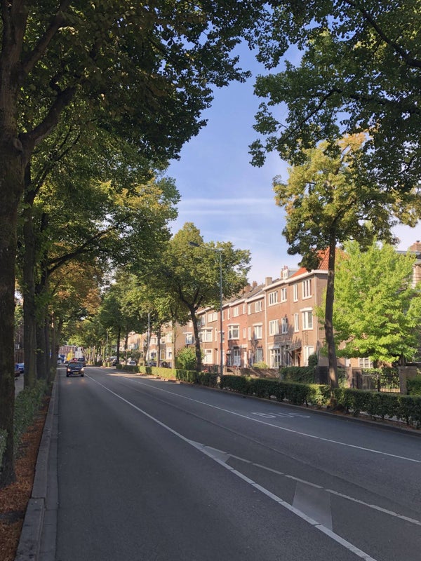 studios te huur op Statensingel