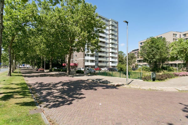 Limburglaan, Eindhoven