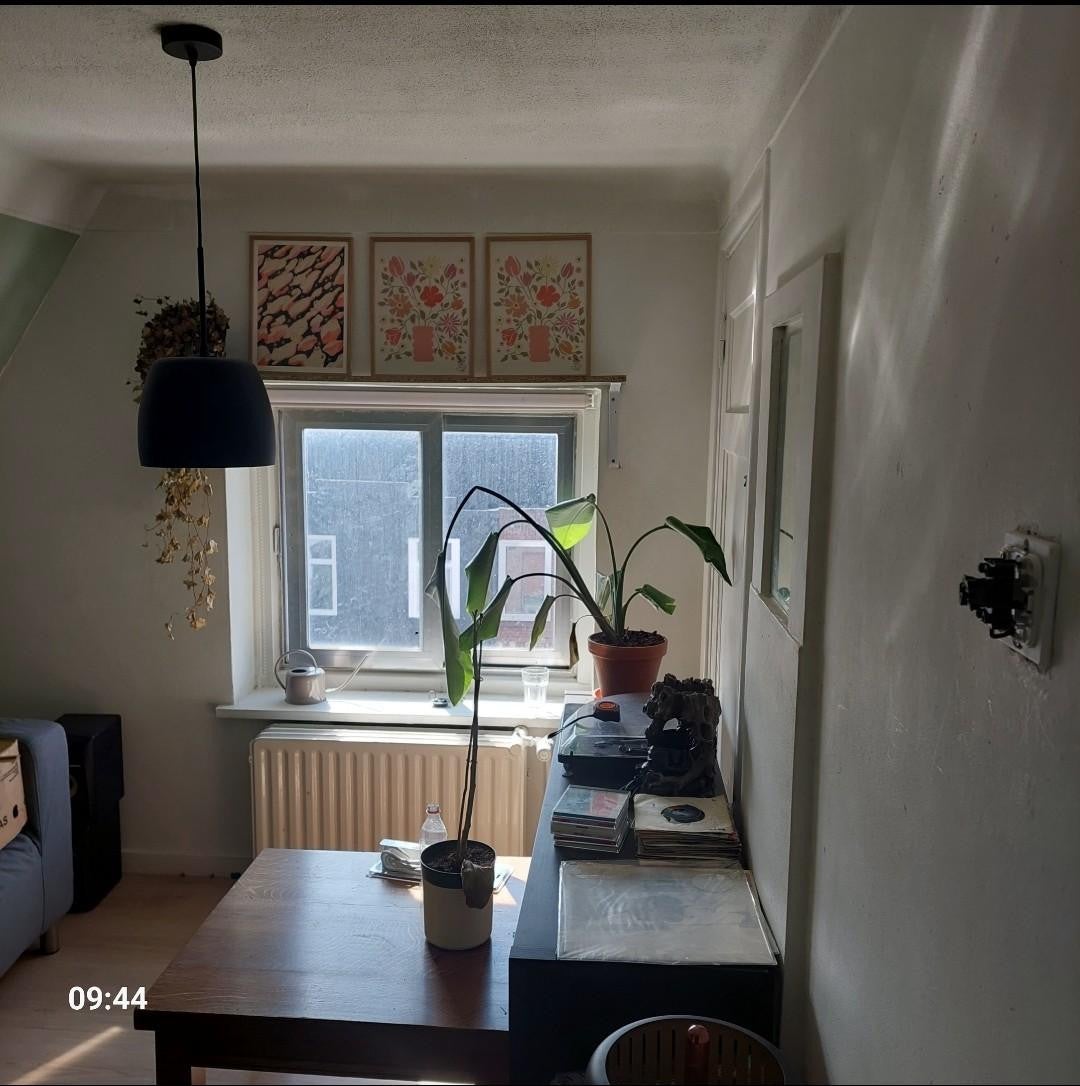 Kamer te huur: Prunusstraat, Tilburg