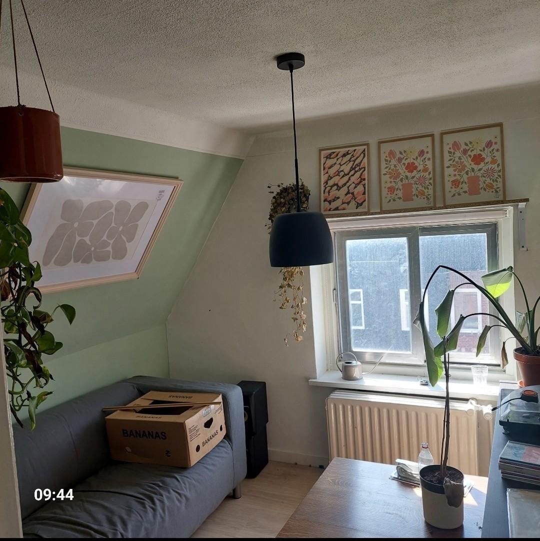 Kamer te huur: Prunusstraat, Tilburg