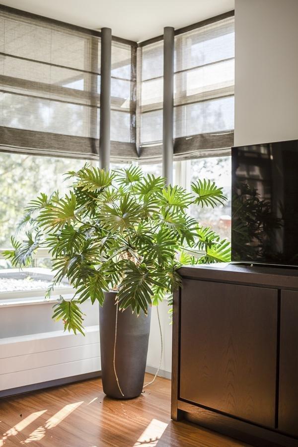 Woning te huur: Ringvaartweg, Rotterdam