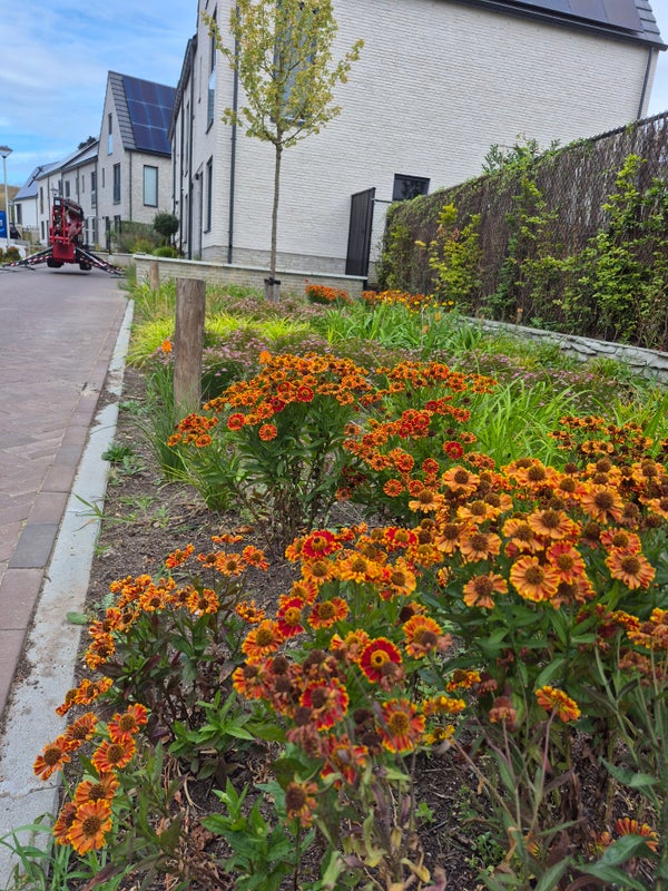 Huis Stijging in Eindhoven