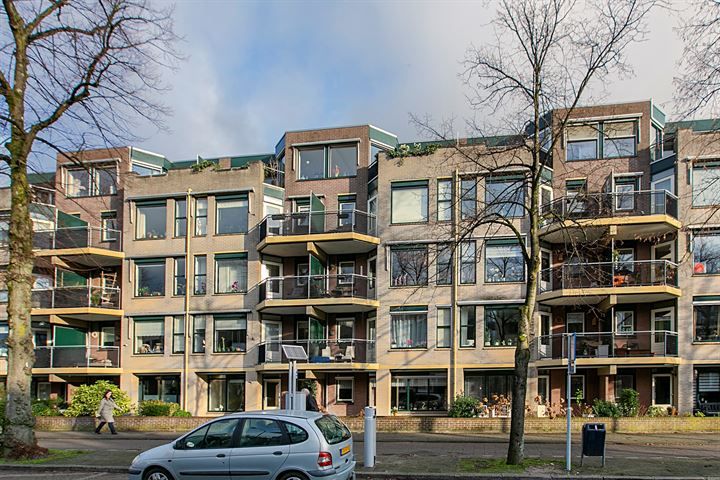 Flat Loolaan