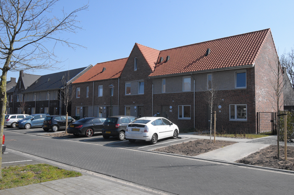 Spiegelkever 17