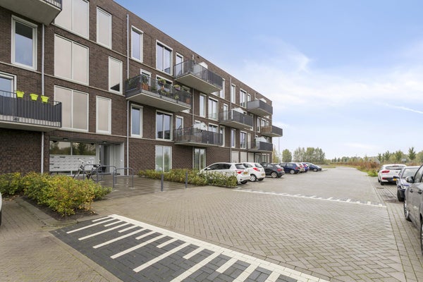 Molkenkelder 103