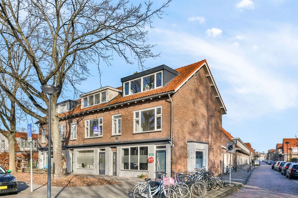 Roomburgerlaan