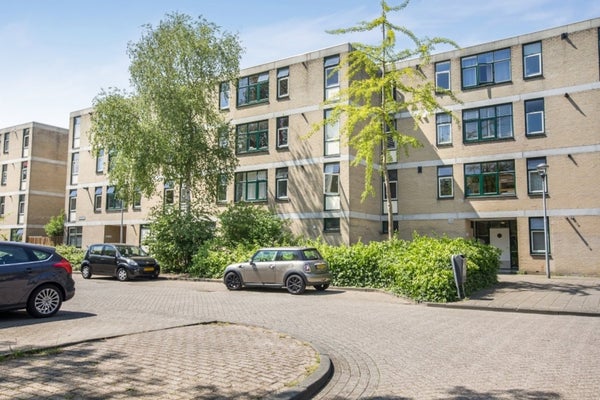 Piso Narcisplantsoen en Haarlem