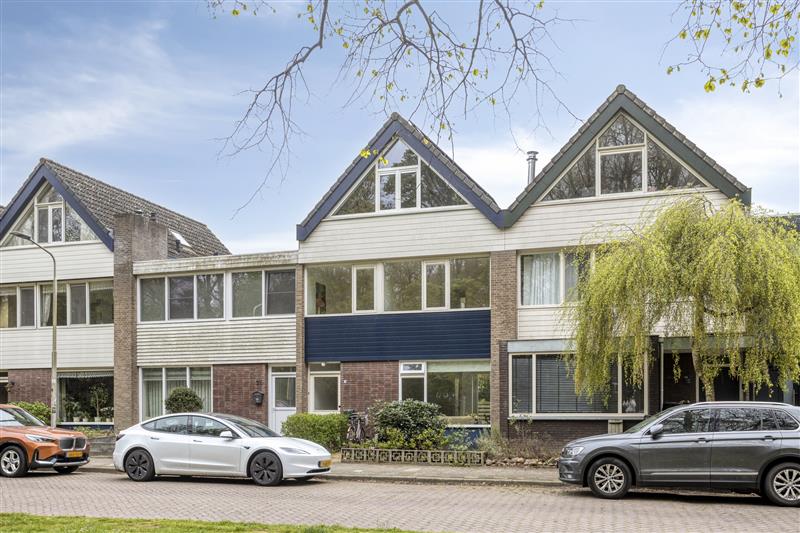 Van Cranenborchstraat