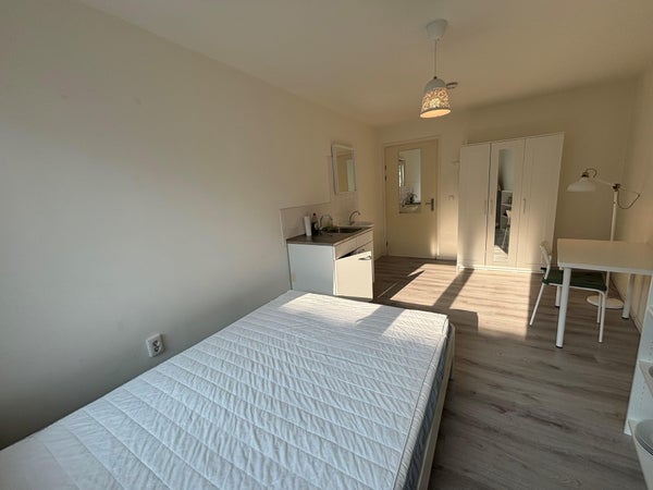 Zimmer Dorpstraat in Maastricht