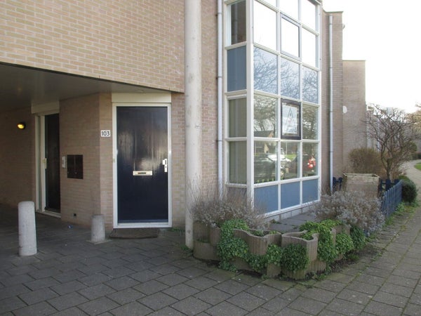 Appartement Laan van Albert's Hoeve in Castricum