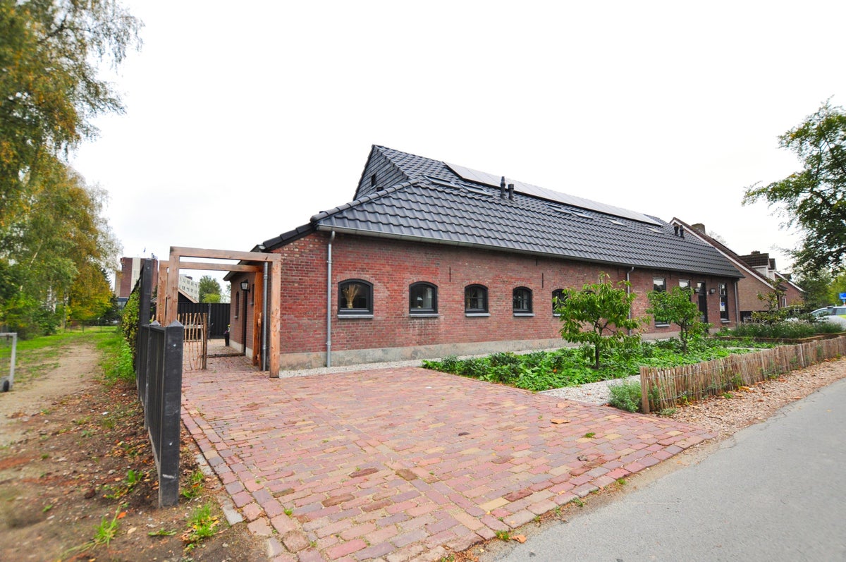 Hout oost