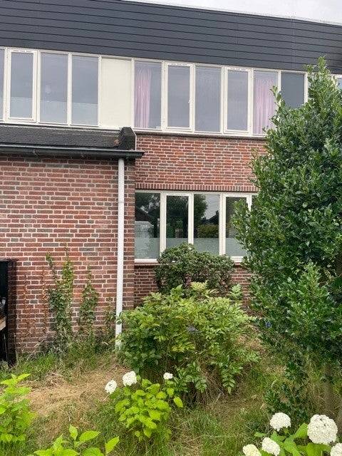 Albert van der Meerstraat