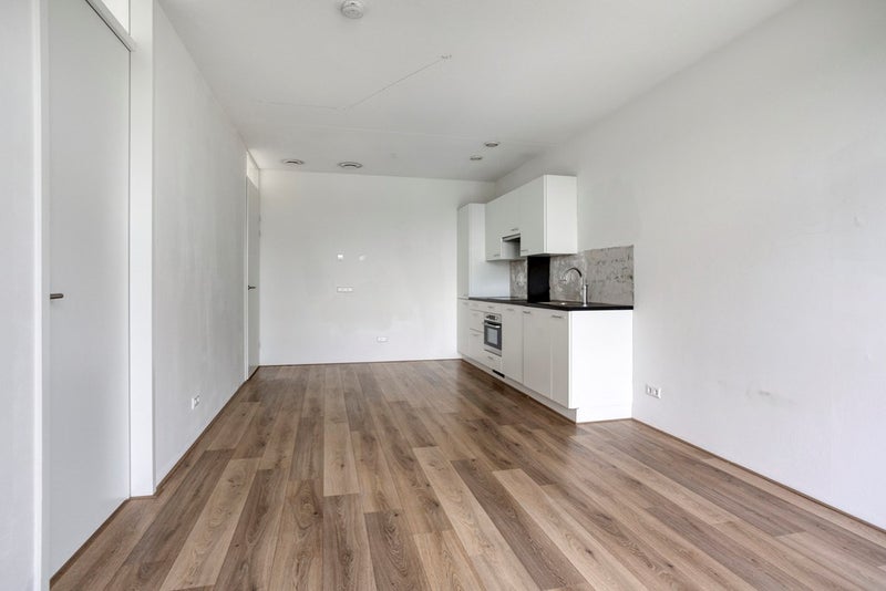 Te huur Appartement Wilgenplaslaan in Rotterdam