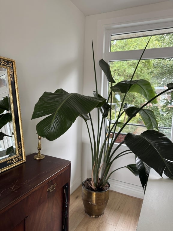 Te huur Appartement Pasteursingel in Rotterdam