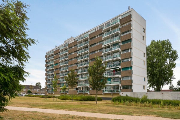 Wilgenstraat
