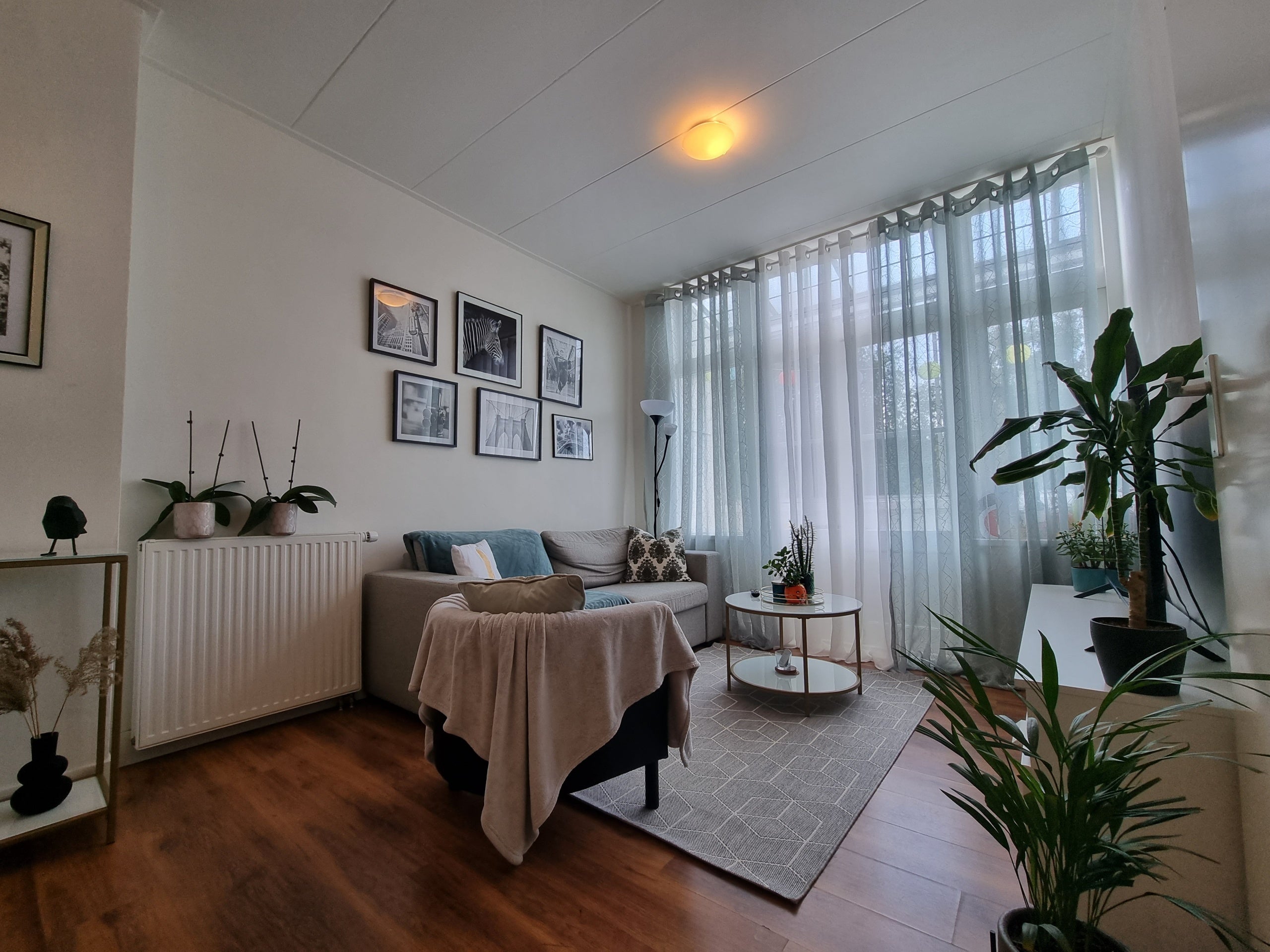 Te huur Appartement Dijkstraat in Rotterdam