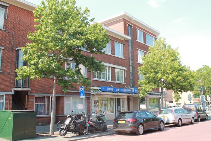 Te huur: Kamer Vreeswijkstraat in Den Haag