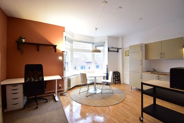 Flat Dr. van Mierlostraat