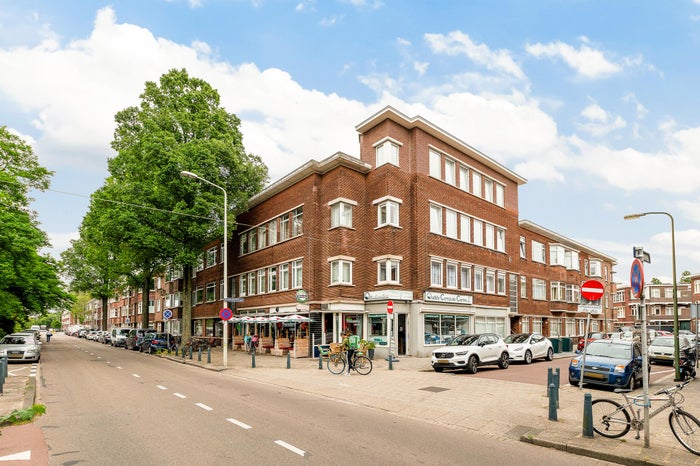 Goudreinetstraat 251