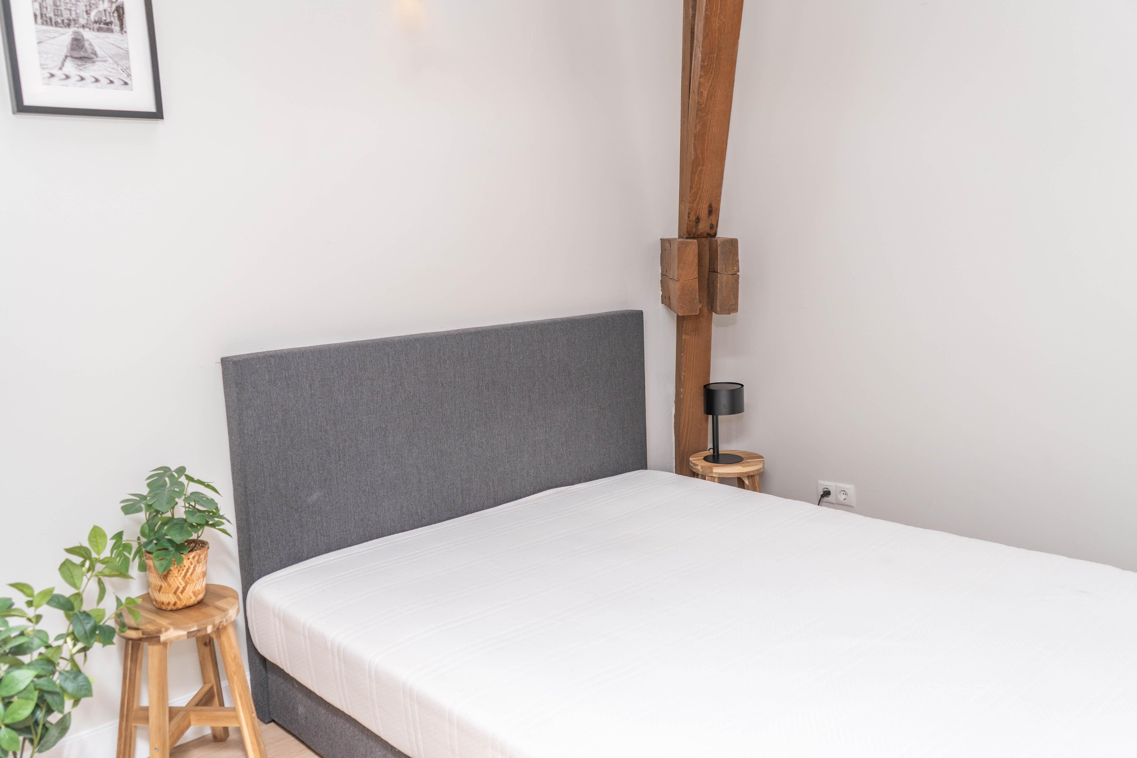 Te huur Appartement Berg en Dalseweg in Nijmegen