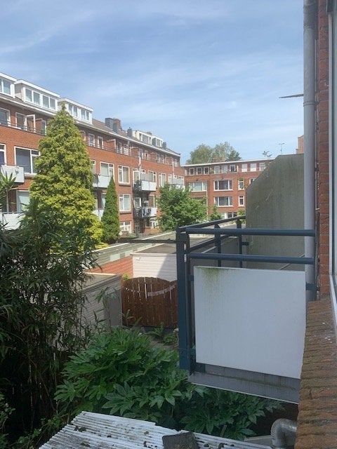 Woning te koop: Schiedamseweg Beneden, Rotterdam