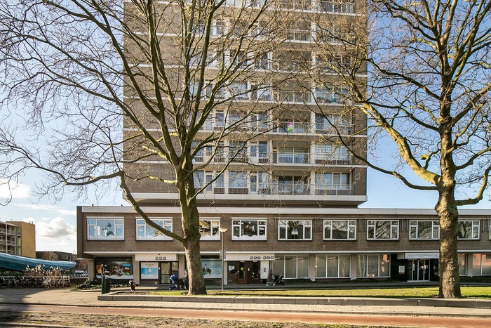 Parkweg 228