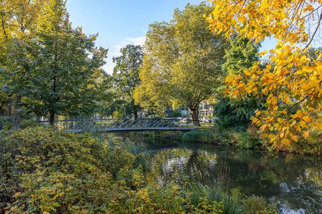 Appartement te huur: Spoorsingel 59B-01, Rotterdam