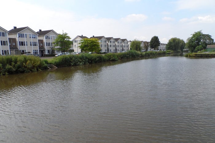 Te huur: Huis Piet van de Polsingel in Rotterdam