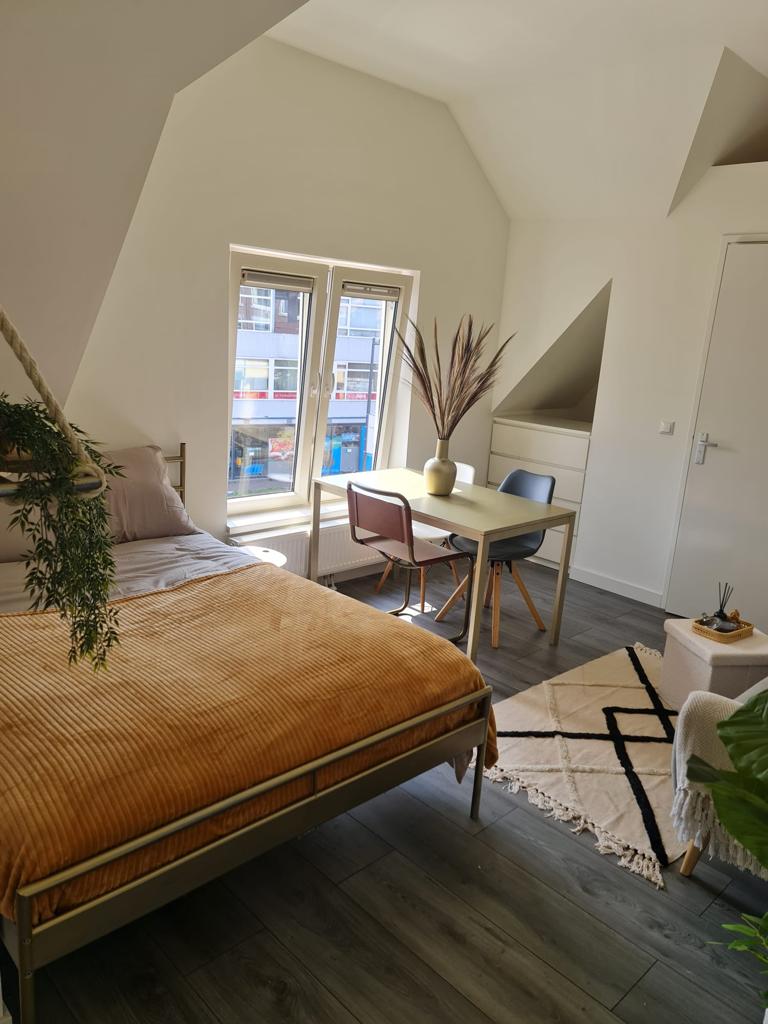 Te huur Studio Burgemeester Reigerstraat in Utrecht