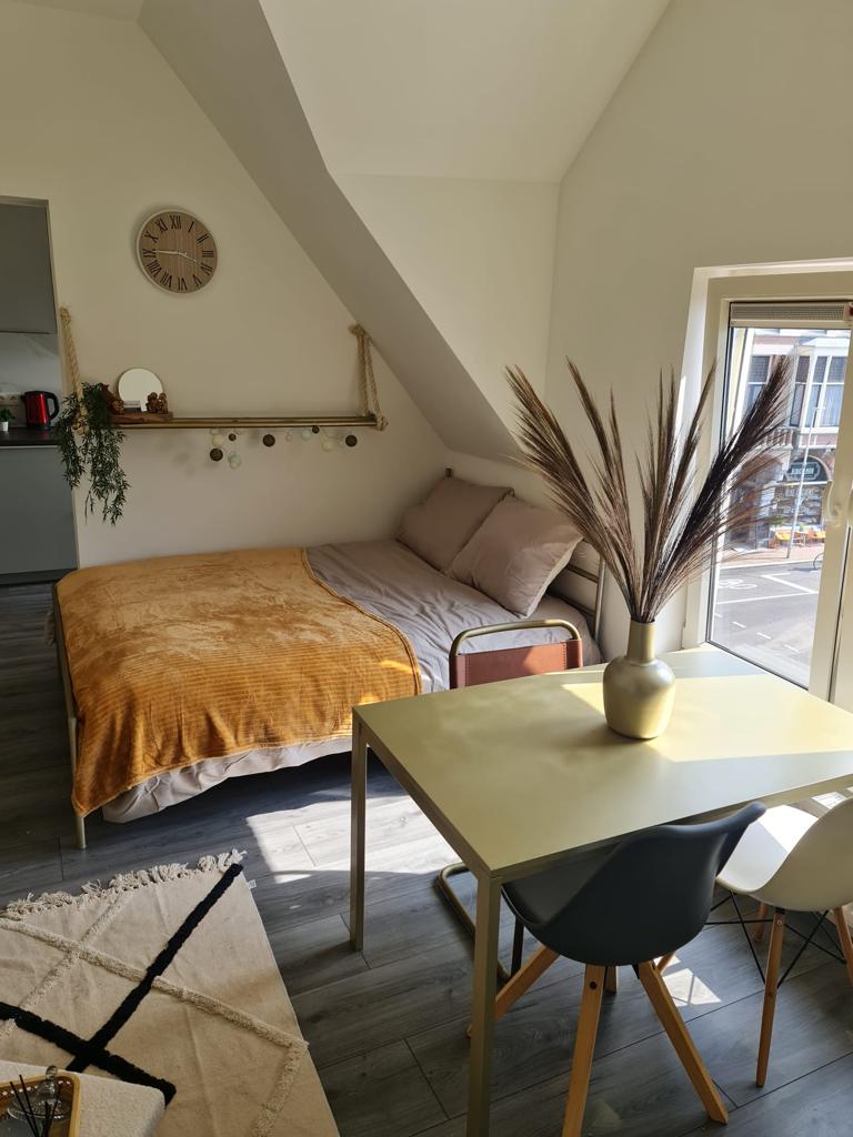 Te huur Studio Burgemeester Reigerstraat in Utrecht