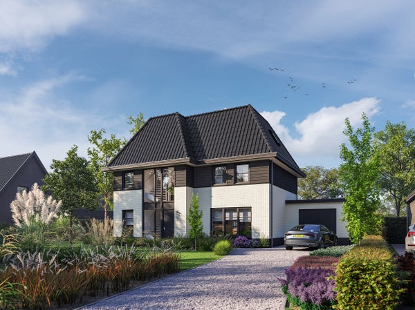 Sperwer in Almere